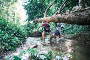 BIB: 
                            <button type="button" onclick="openModal(25435483)" class="btn btn-primary btn-sm float-right btn-popup" data-toggle="modal" data-target=".modal-high-quality">
                        <i class="fas fa-shopping-cart"></i> Add to Cart
                    </button>
                                            <button type="button" onclick="isThisMe(25435483, true)" class="btn btn-success btn-sm float-right btn-popup btn-isme hidden" data-toggle="tooltip" data-placement="bottom" title="นี่คือรูปของคุณใช่ไหม คลิกที่นี่เพื่อเอาเข้าอัลบั้ม">
                        <i class="fas fa-plus"></i> Add to album
                    </button>
                    <button type="button" onclick="isThisMe(25435483, false)" class="btn btn-warning btn-sm float-right btn-popup btn-isnotme hidden">
                        <i class="fas fa-ban"></i> Remove from album
                    </button>